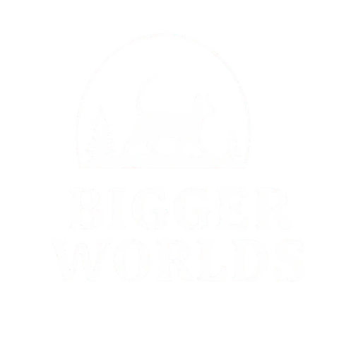 Bigger Worlds