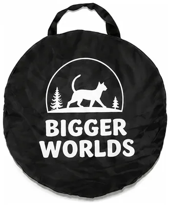 BiggerWorlds branded carry bag