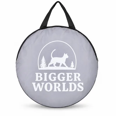 BiggerWorlds branded carry bag