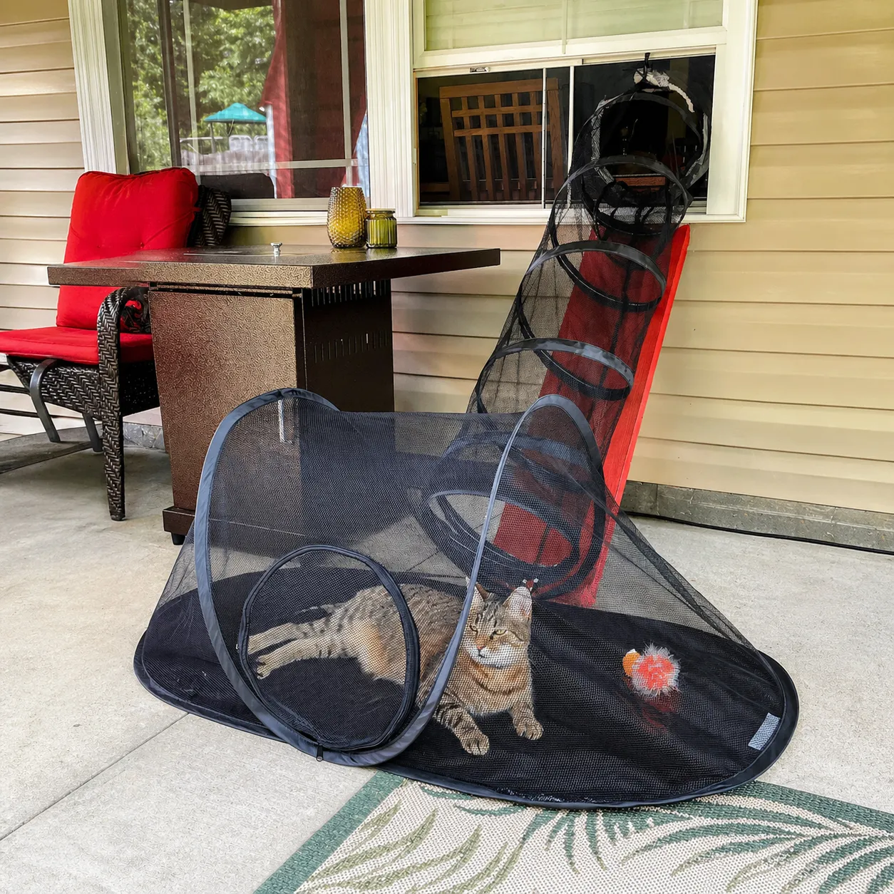 Cat lounging inside the tent tunnel by a window view