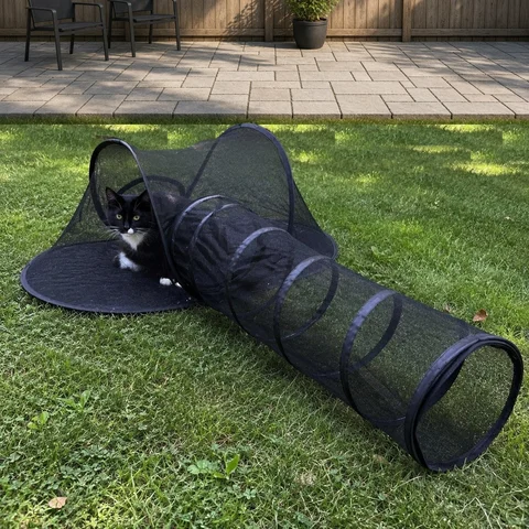 Tuxedo cat inside the tent tunnel set on a backyard lawn