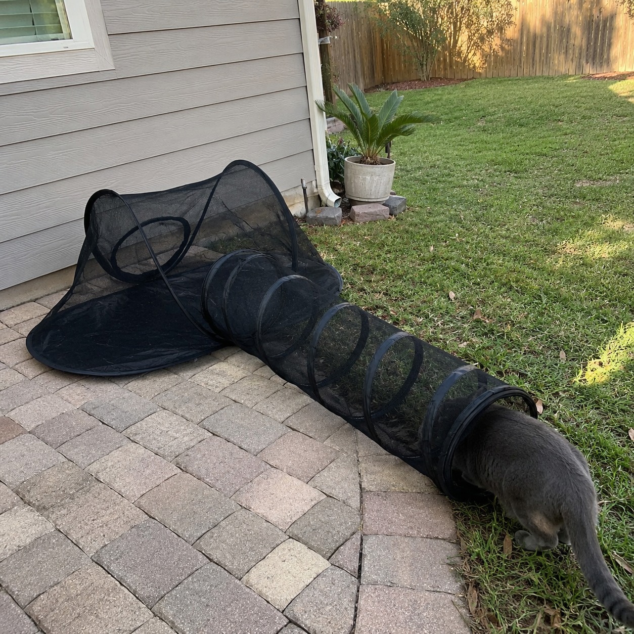 Tent tunnel set between patio and lawn